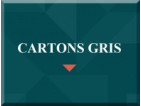 CARTONS GRIS